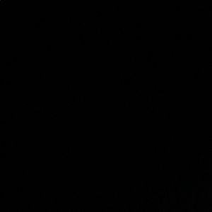 Meet your Posher, Jonecque